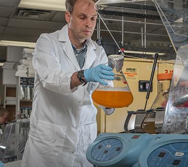 研究er examines a fluid sample in a lab.